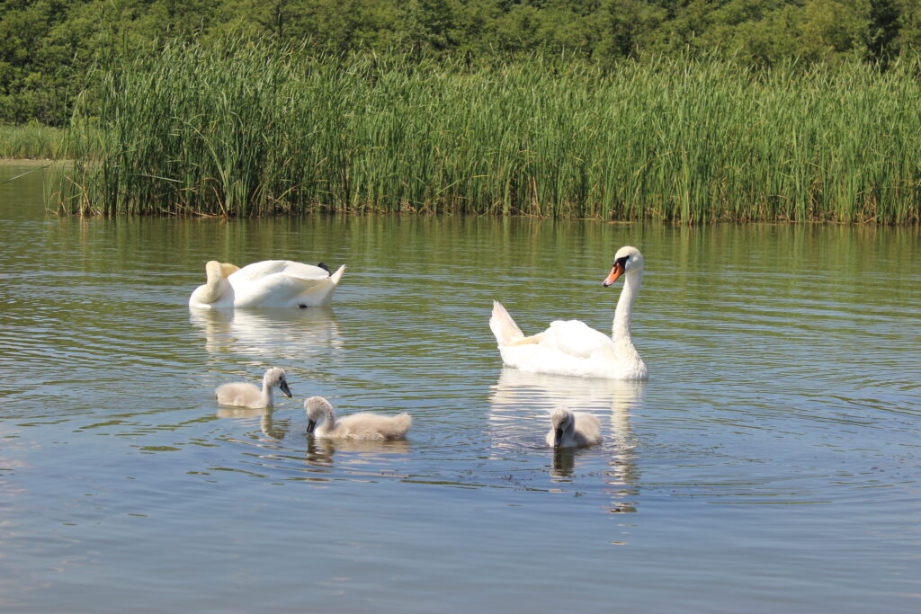 21 km Nebelsee. img 5427